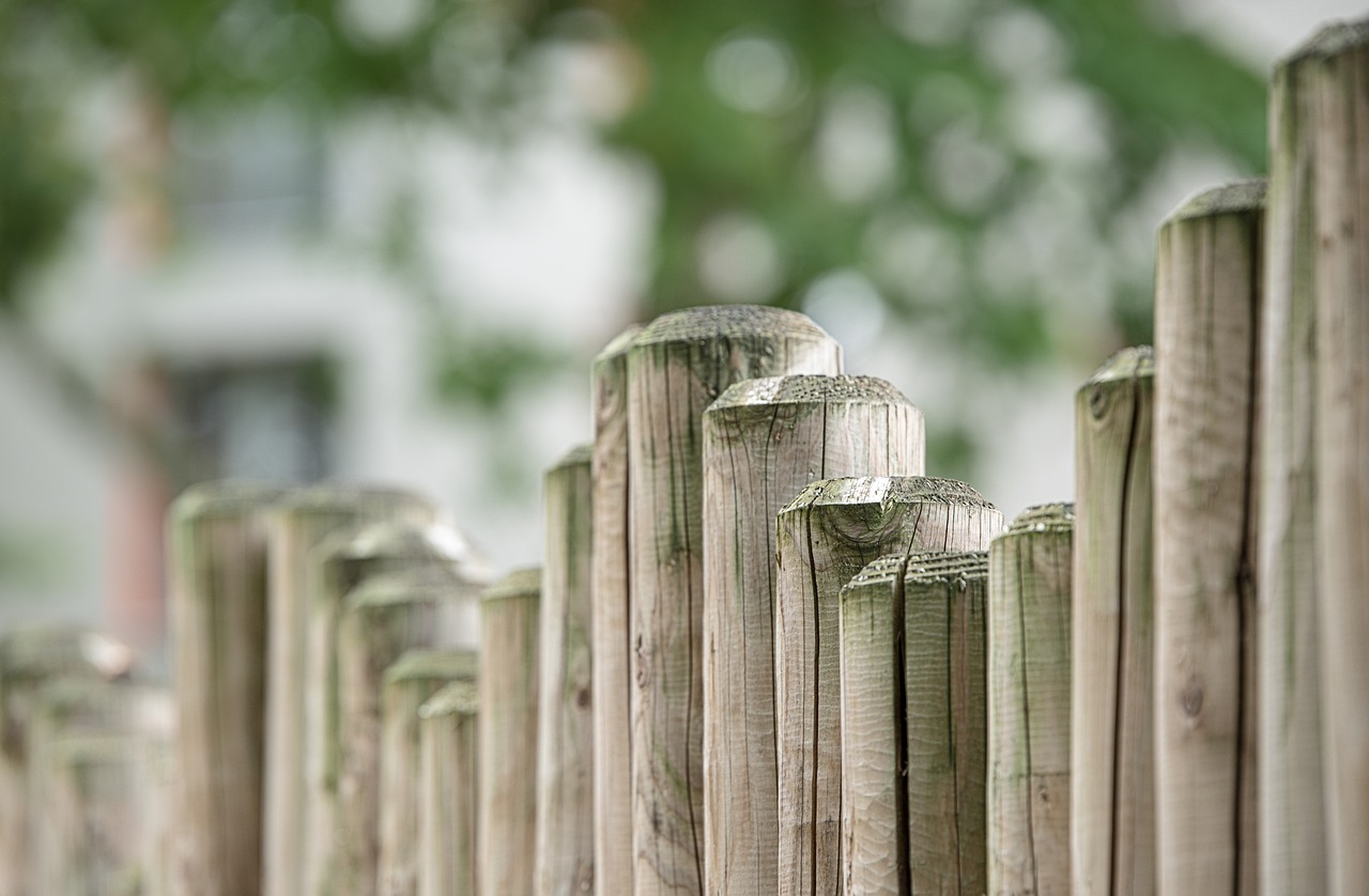 7 atrakcyjnych sposobów na pokrycie ogrodzenia i przekształcenie podwórka
